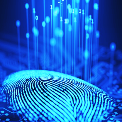 Data Privacy & Security Solutions